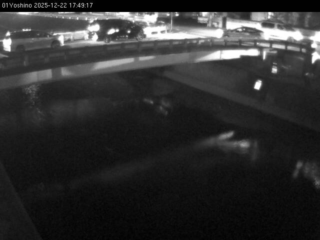 最新監視カメラ画像