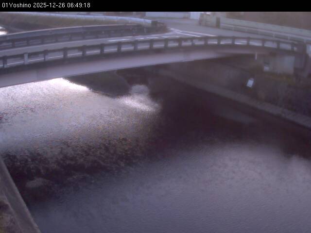 最新監視カメラ画像