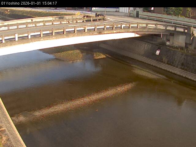 最新監視カメラ画像