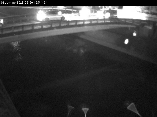 最新監視カメラ画像