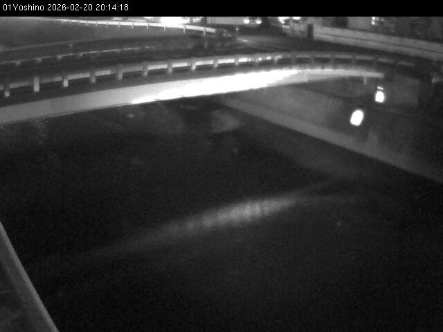 最新監視カメラ画像