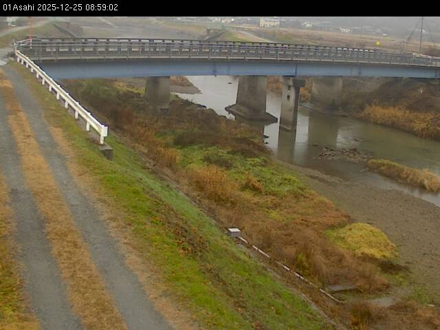 最新監視カメラ画像