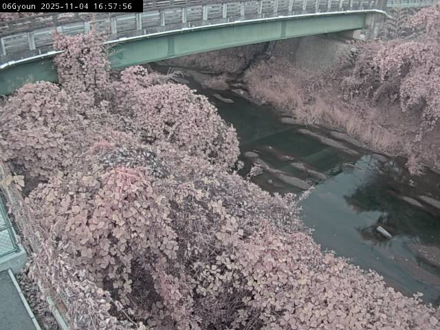 最新監視カメラ画像