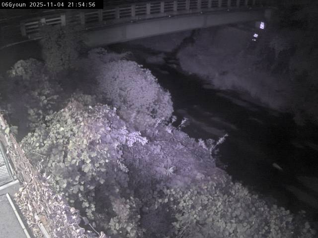 最新監視カメラ画像