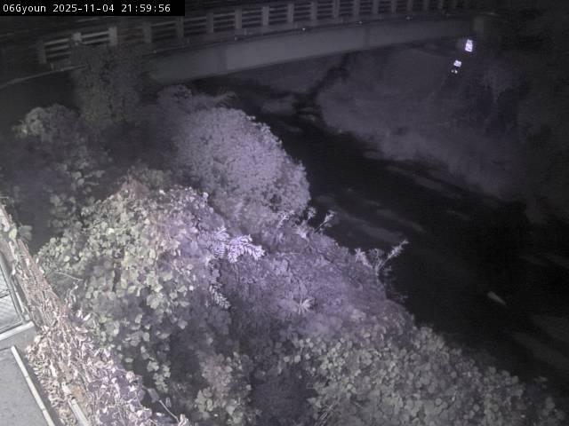 最新監視カメラ画像