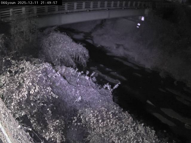 最新監視カメラ画像