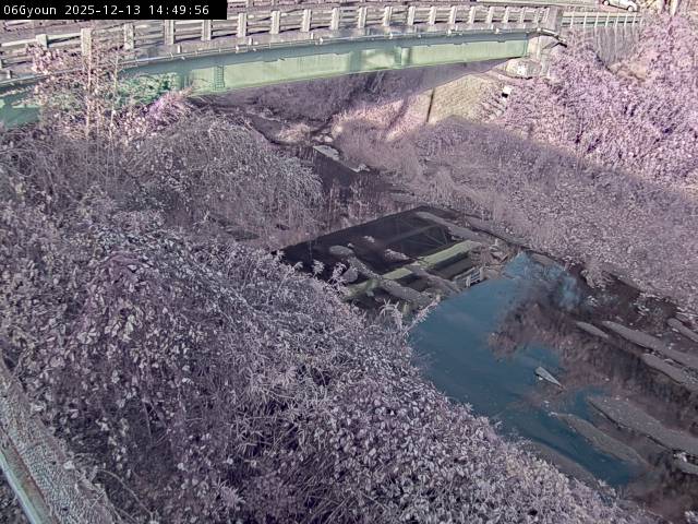 最新監視カメラ画像