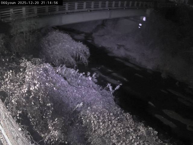 最新監視カメラ画像