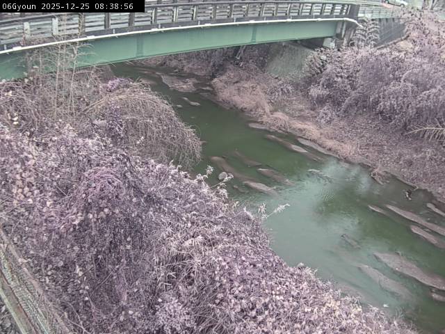 最新監視カメラ画像