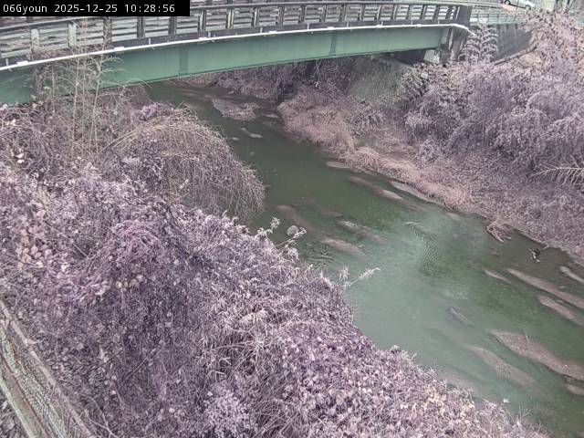 最新監視カメラ画像