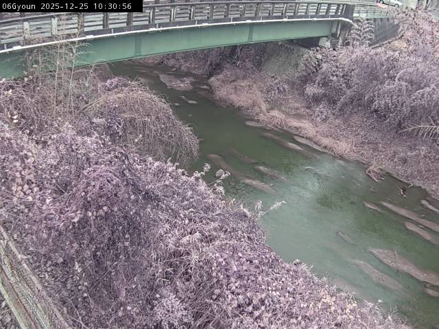 最新監視カメラ画像