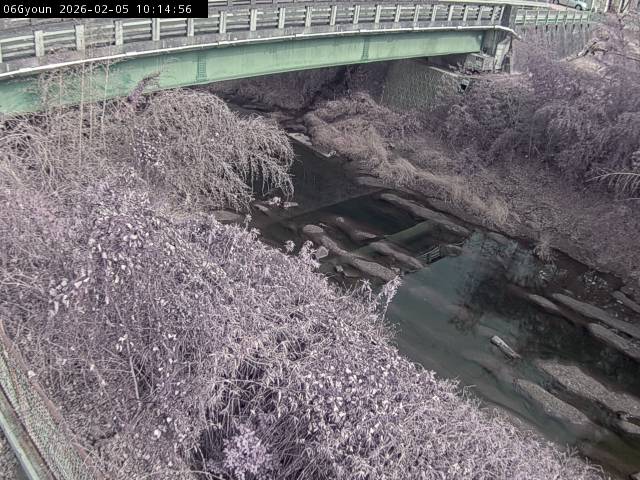 最新監視カメラ画像