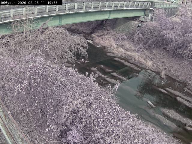 最新監視カメラ画像