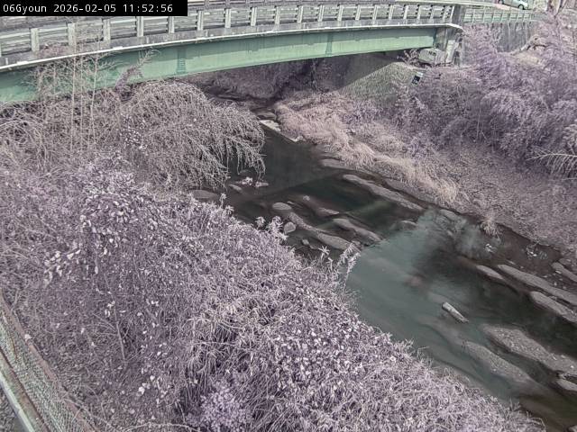 最新監視カメラ画像