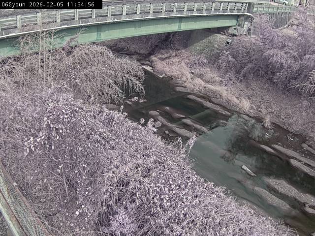 最新監視カメラ画像