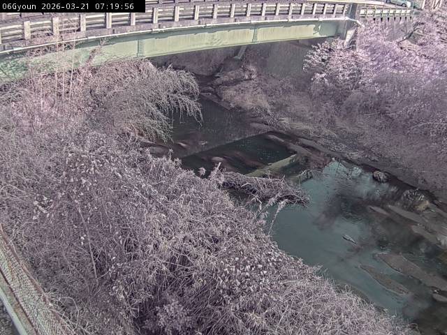 最新監視カメラ画像