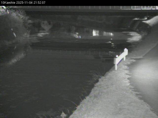 最新監視カメラ画像