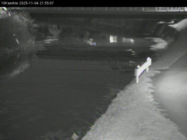 最新監視カメラ画像