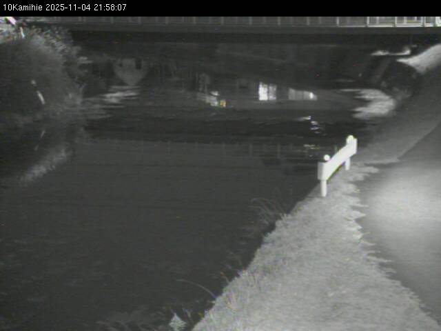 最新監視カメラ画像