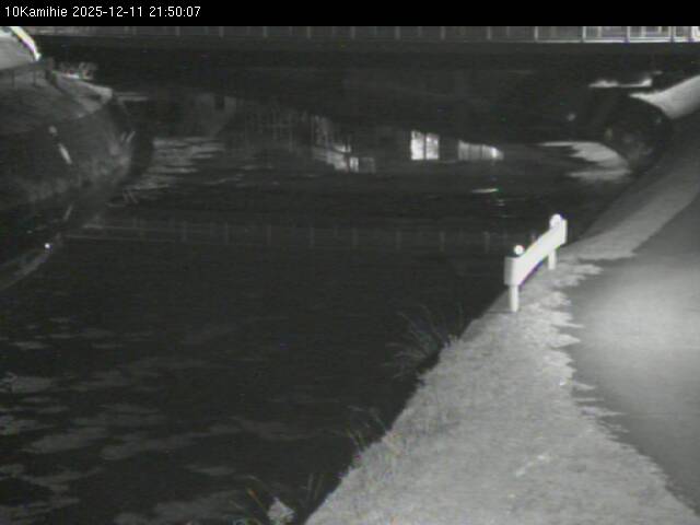 最新監視カメラ画像