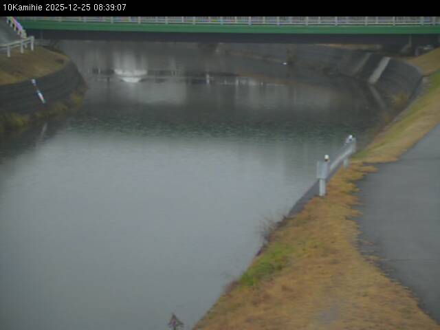 最新監視カメラ画像