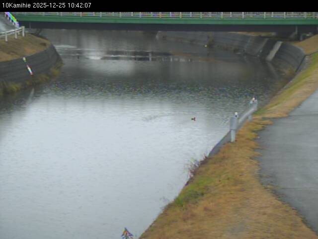 最新監視カメラ画像