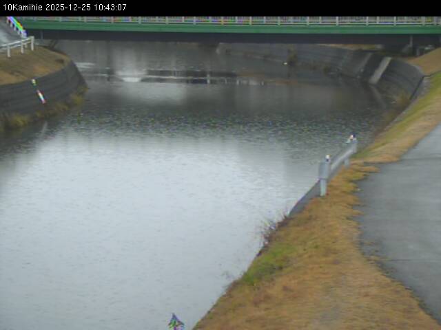 最新監視カメラ画像