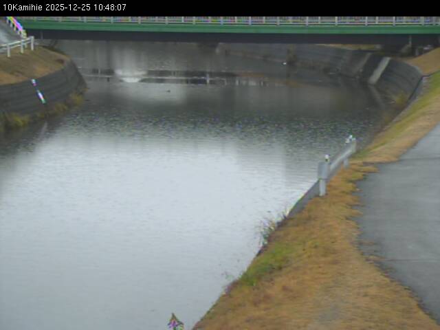 最新監視カメラ画像