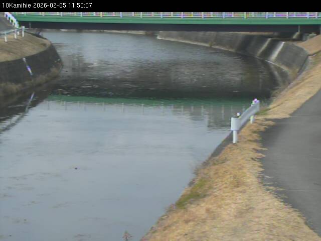 最新監視カメラ画像