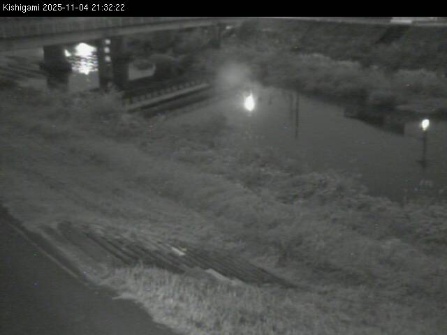 最新監視カメラ画像