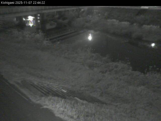 最新監視カメラ画像