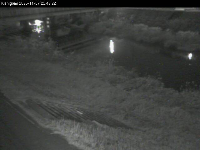 最新監視カメラ画像