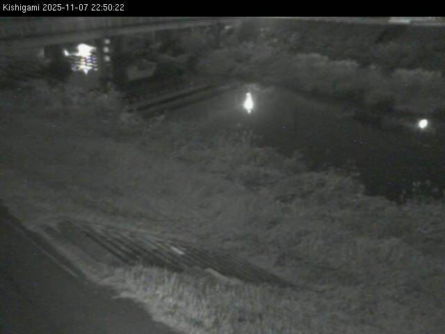 最新監視カメラ画像