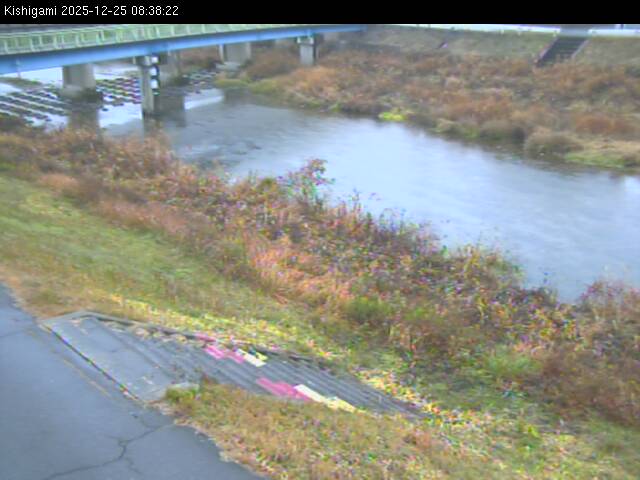 最新監視カメラ画像