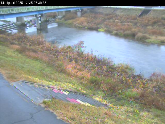 最新監視カメラ画像