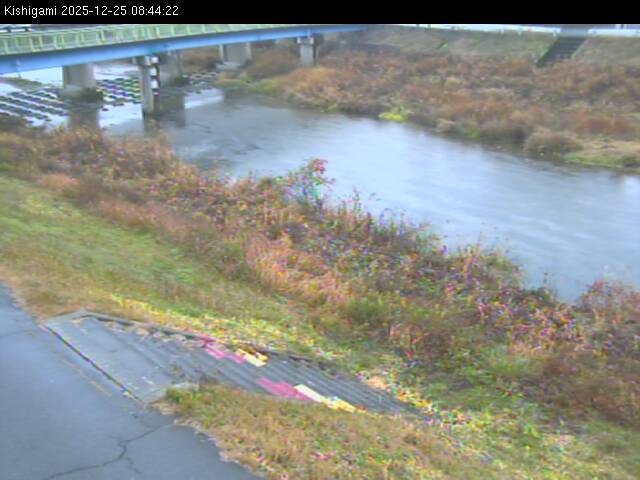 最新監視カメラ画像