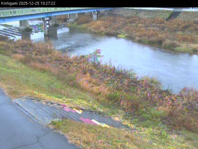 最新監視カメラ画像