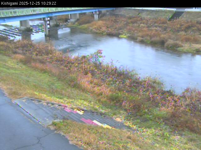 最新監視カメラ画像