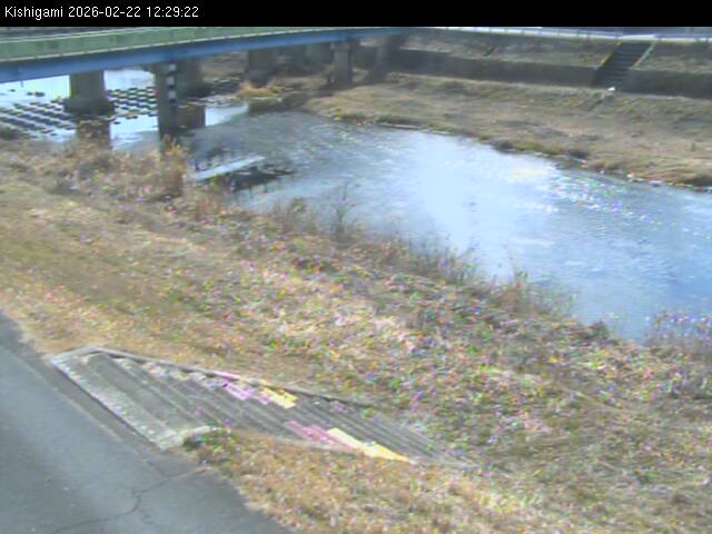 最新監視カメラ画像