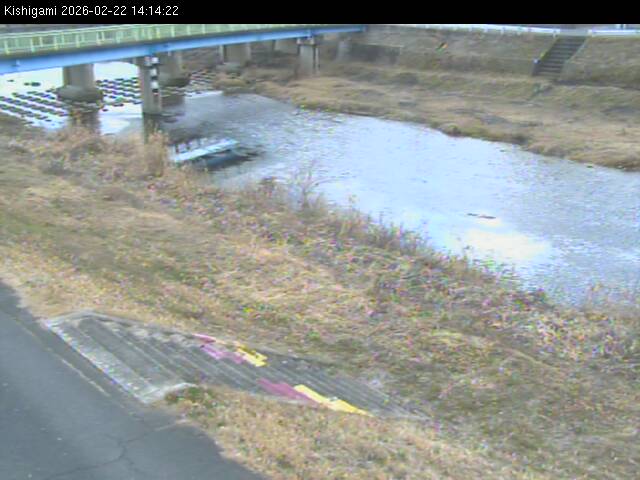 最新監視カメラ画像