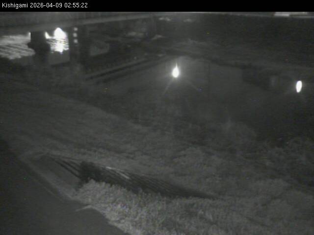 最新監視カメラ画像