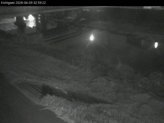 最新監視カメラ画像