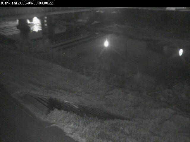 最新監視カメラ画像