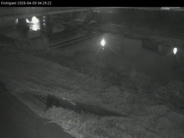 最新監視カメラ画像