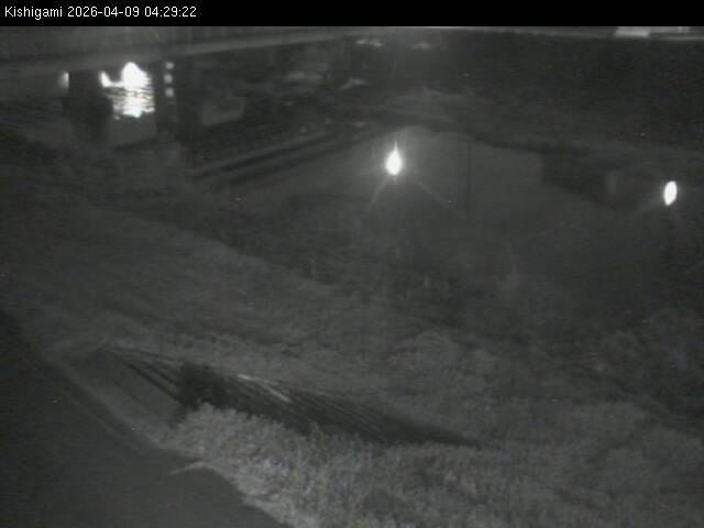 最新監視カメラ画像