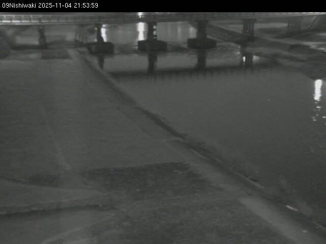 最新監視カメラ画像