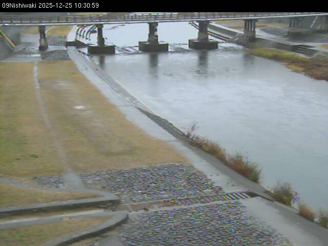 最新監視カメラ画像