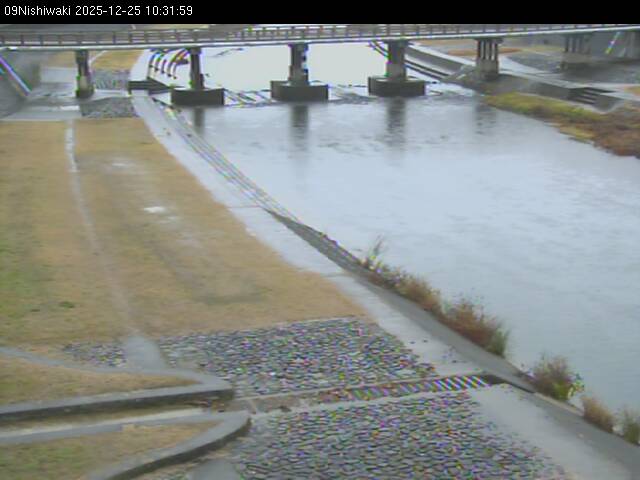 最新監視カメラ画像