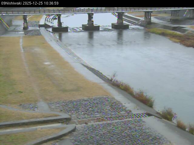 最新監視カメラ画像