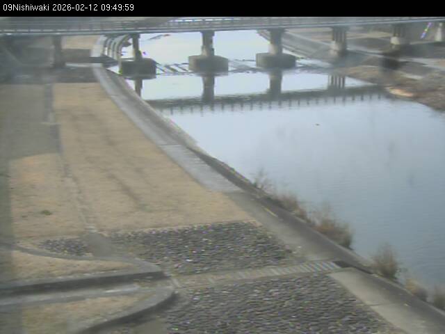 最新監視カメラ画像